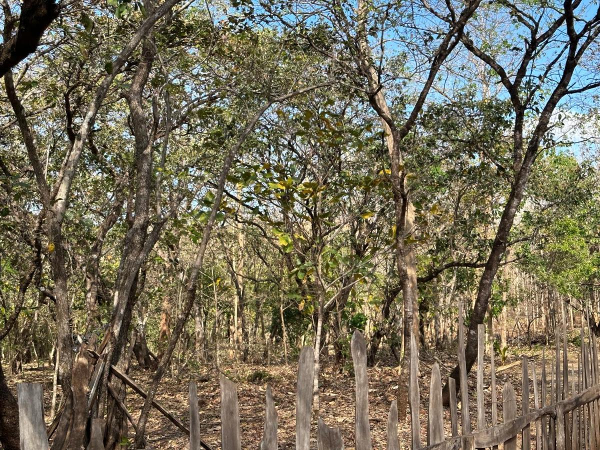 Finca Avellanas Lorena Exteriér fotografie