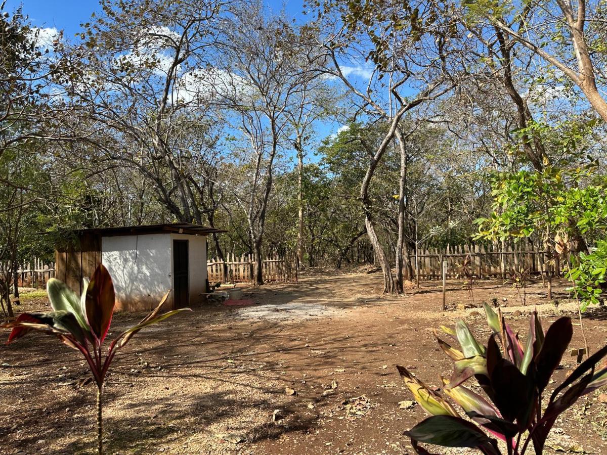 Finca Avellanas Lorena Exteriér fotografie