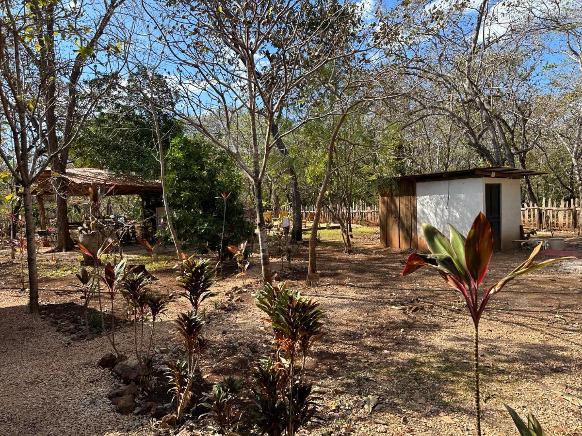 Finca Avellanas Lorena Exteriér fotografie