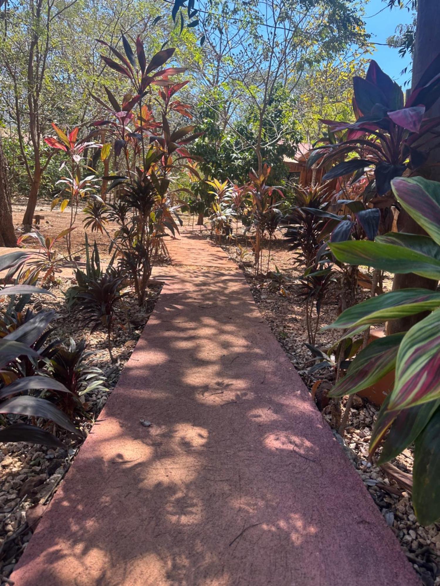 Finca Avellanas Lorena Exteriér fotografie