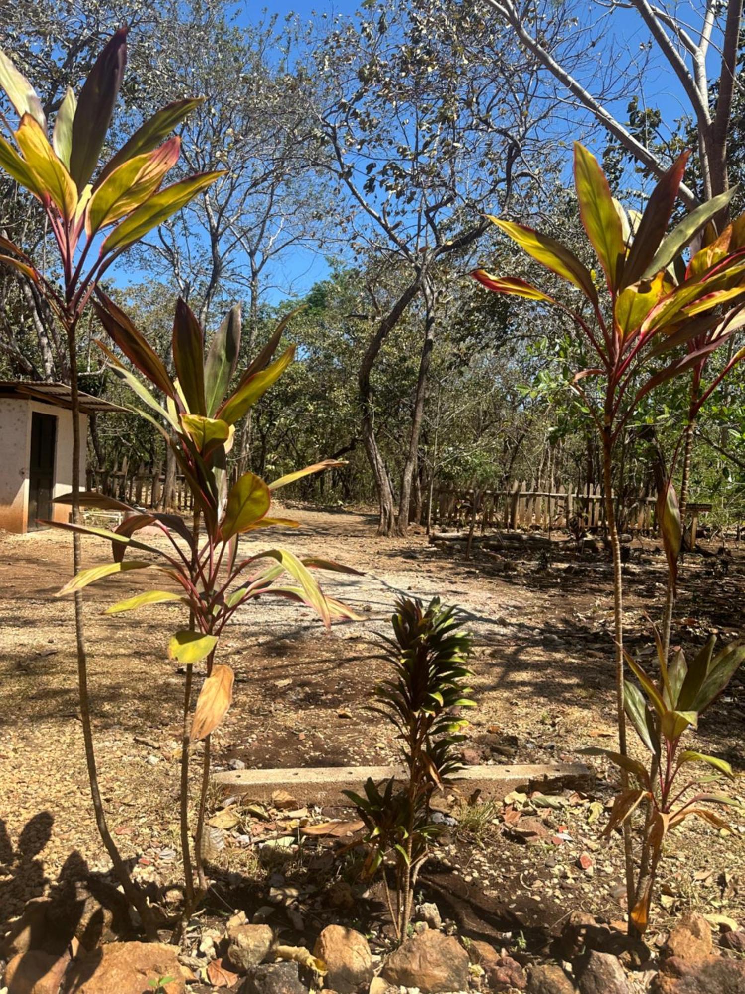 Finca Avellanas Lorena Exteriér fotografie