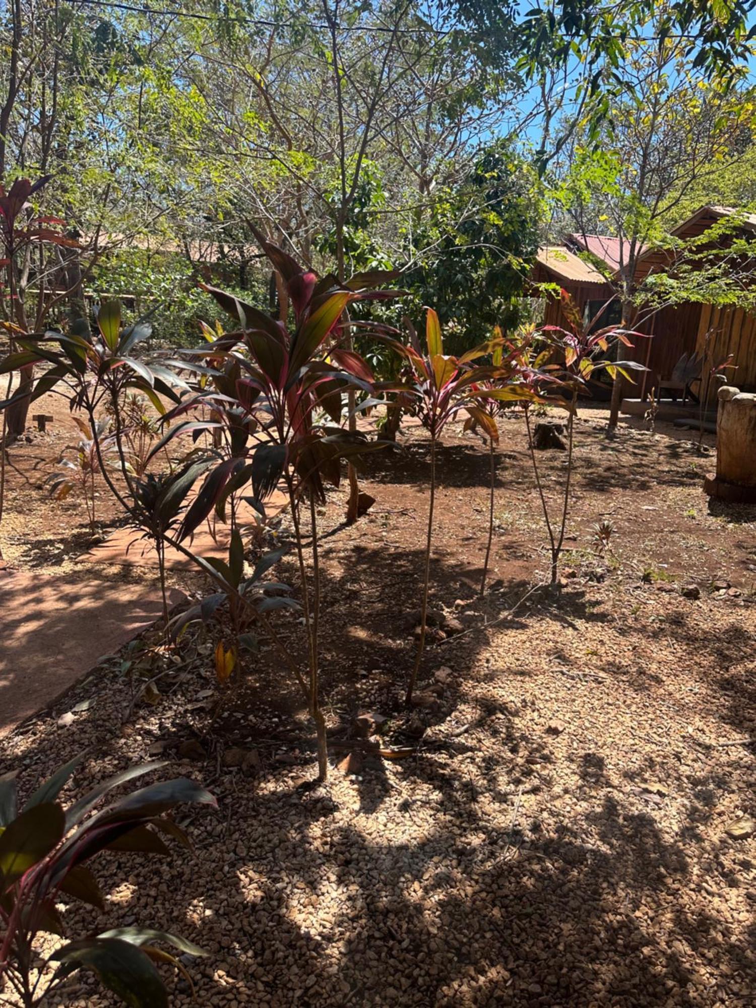 Finca Avellanas Lorena Exteriér fotografie