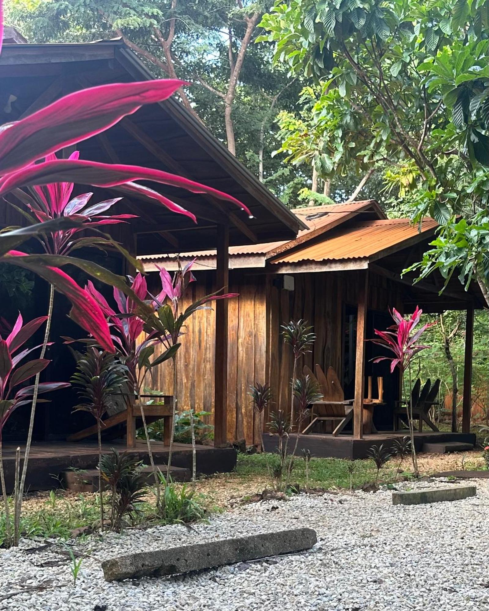 Finca Avellanas Lorena Exteriér fotografie